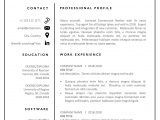 Sample Resume for New Real Estate Agent Real Estate Resume Template Word Realtor & Cv Resume