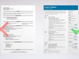 Sample Resume for Newborn Care Specialists Child Care Provider Resume Example [with Skills & Objectives]