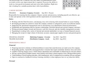 Sample Resume for Newly Passed Cpa 24 Best Finance Resume Sample Templates – Wisestep