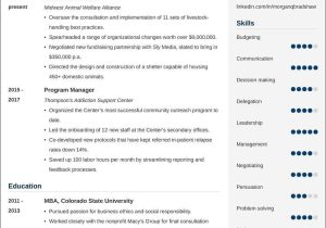 Sample Resume for Ngo Jobs In Usa Nonprofit Resumeâexamples and 25lancarrezekiq Writing Tips