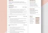 Sample Resume for Night Club Manager Free Free Nightclub General Manager Resume Template – Word, Apple …