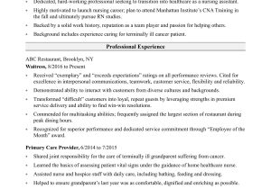 Sample Resume for No Experience Nurses Nursing assistant Resume Sample Monster.com