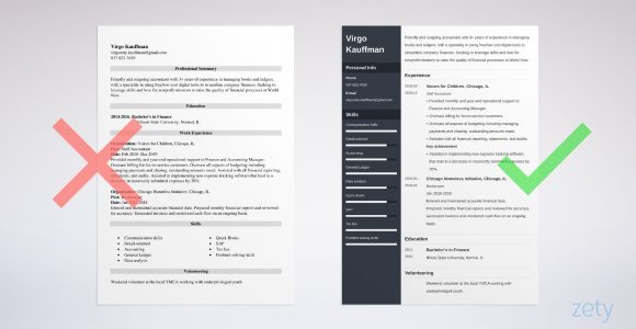 Sample Resume for Non It Professionals Nonprofit Resume Examples (template & Guide)