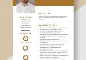 Sample Resume for Non Profit Environmental Officer Non Profit Program Manager Resume Template – Word, Apple Pages …