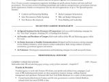 Sample Resume for Non Profit organization 18 Best Images About Non Profit Resume Samples On