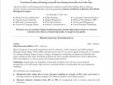 Sample Resume for Non Profit organization Non Profit Executive Free Resume Samples