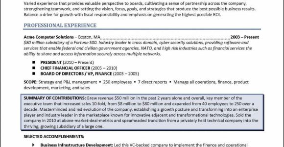 Sample Resume for Nonprofit Board Member 3 Board Of Director Resume Examples – Distinctive Career Services