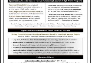 Sample Resume for Nonprofit Executive Director Nonprofit Ceo Resume Sample Executive Resume, Professional …