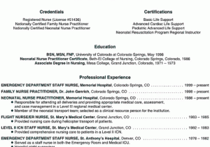 Sample Resume for Nurse Practitioner School Nurse Practitioner Resume Example