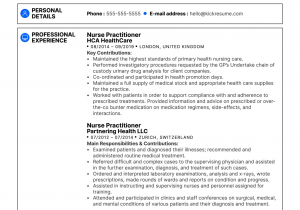 Sample Resume for Nurse Practitioner School Nurse Practitioner Resume Example