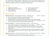 Sample Resume for Nurses Applying Abroad Pdf Sample Curriculum Vitae for Nurses Applying Abroad