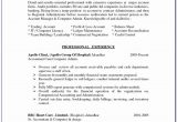 Sample Resume for Nurses with Experience In India Resume format for Experienced Acounts Manager In India