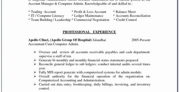 Sample Resume for Nurses with Experience In India Resume format for Experienced Acounts Manager In India