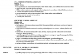 Sample Resume for Nursing assistant Position Sample Resume for Nursing assistant Position Writing A