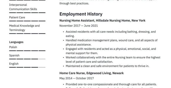 Sample Resume for Nursing Home social Worker Nursing Home Resume Examples & Writing Tips 2022 (free Guide)