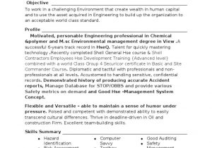 Sample Resume for Occupational Health and Safety Olatunde Resume Safety