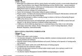 Sample Resume for On the Job Training Student Resume Examples for Training Specialist Training