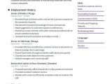Sample Resume for Part Time Job In Restaurant Server Resume Examples & Writing Tips 2021 (free Guide) Â· Resume.io