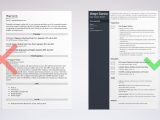 Sample Resume for Peer Support Worker Support Worker Cv: Examples & Writing Guide [lancarrezekiqtemplate]
