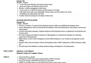 Sample Resume for PHP Developer Experienced 4 PHP Developer Resume Sample for October 2021 – Mapa Hd