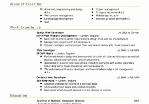 Sample Resume for PHP Developer Experienced Objectives for A Resume Teaching Resume, Project Manager Resume …