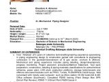 Sample Resume for Piping Design Engineer Piping Designer Cv