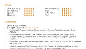 Sample Resume for Pl Sql Developer Pl Sql Developer Resume Sample Cv Sample [2020] – Resumekraft