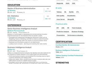 Sample Resume for Power Bi Developer Business Intelligence Resume Examples   Templates & Expert Advice