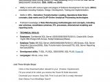 Sample Resume for Power Bi Developer Power Bi Resume by Lillydass12 – issuu