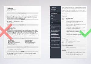 Sample Resume for Preschool Teaching Job with No Experience New Teacher Resume with No Experience [entry Level Sample]