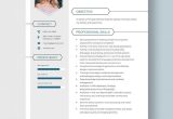 Sample Resume for Principal software Engineer Principal software Engineer Resume Template – Word, Apple Pages …