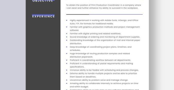 Sample Resume for Print Production Coordinator Print Production Coordinator Resume Template – Word, Apple Pages …