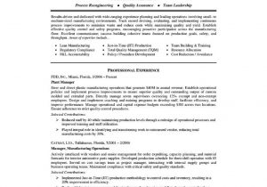 Sample Resume for Print Production Manager Manufacturing-plant-manager-resume-sample.pdf Pages 1 – 5 – Flip …