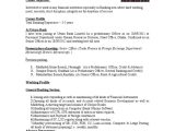 Sample Resume for Probationary Officers In Bank Cv Of Benazir Pdf Loans Credit (finance)