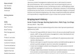 Sample Resume for Product Manager Analytics Product Manager Resume & Guide   12 Samples Pdf 2020