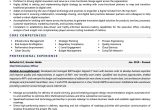 Sample Resume for Production Engineer In tower Manufacturing Cio Resume Examples & Template (with Job Winning Tips)