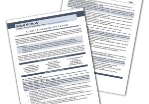 Sample Resume for Professional Sports Player Turned Business Executive Executive Resume Samples 2022 – Real Resumes that Got Offers …