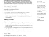 Sample Resume for Program Manager Manufacturing It Manager Resume Examples & Writing Tips 2022 (free Guide)