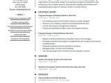 Sample Resume for Program Manager Position Program Manager Resume Examples & Writing Tips 2022 (free Guide)