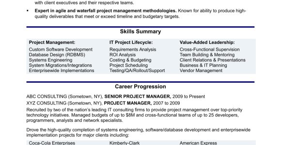 Sample Resume for Project Management Consultant It Project Manager Resume Monster.com