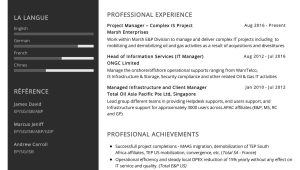 Sample Resume for Project Manager In Higher Education It Project Manager Resume Sample 2022 Writing Tips – Resumekraft