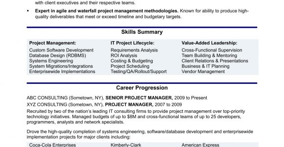 Sample Resume for Project Manager It software Experienced It Project Manager Resume Monster.com