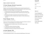 Sample Resume for Project Manager It software India 12 Project Manager Resume Examples & Templates Ideas Project …