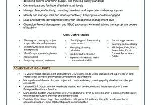 Sample Resume for Project Manager It software software Project Manager Resume Sample , software Project Manager …