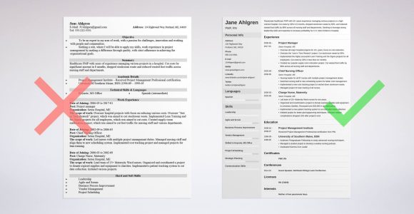 Sample Resume for Project Manager Job Project Manager (pm) Resume / Cv Examples (template for 2022)
