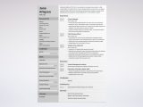 Sample Resume for Project Manager Non It Project Manager (pm) Resume / Cv Examples (template for 2022)