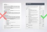 Sample Resume for Project Oddessy Coordinator Animator Resume: Example & Writing Guide [20lancarrezekiq Tips]