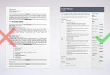 Sample Resume for Project Odyssey Coordinator Animator Resume: Example & Writing Guide [20lancarrezekiq Tips]