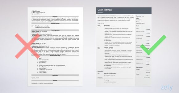 Sample Resume for Project Odyssey Coordinator Animator Resume: Example & Writing Guide [20lancarrezekiq Tips]
