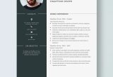 Sample Resume for Project Odyssey Coordinator Driver Resume Templates – Design, Free, Download Template.net